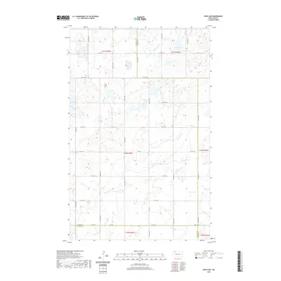 2020 Map of Bush Lake, 2020 Print