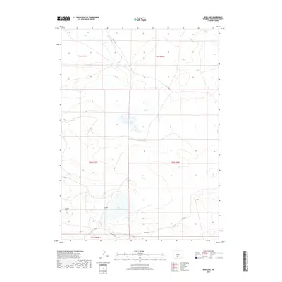2017 Map of Bush Lake, 2017 Print