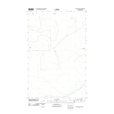 2011 Map of Bushnell Hill, 2011 Print