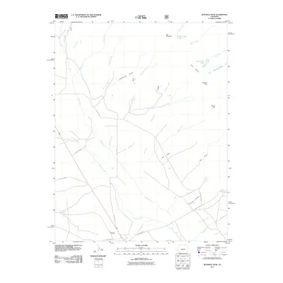 2011 Map of Bushnell Peak, 2011 Print