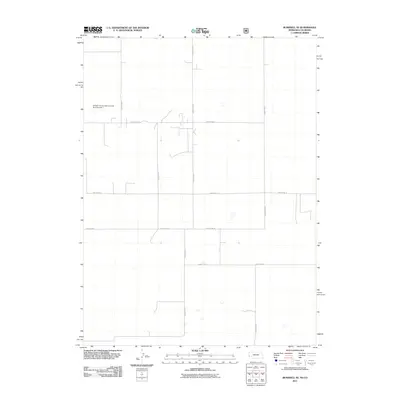 2011 Map of Bushnell SE, 2011 Print