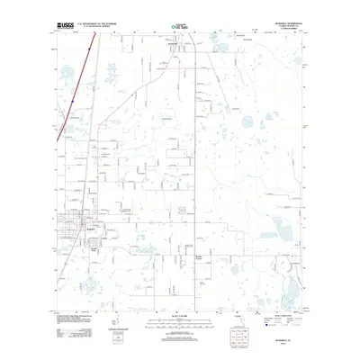 2012 Map of Bushnell, 2012 Print