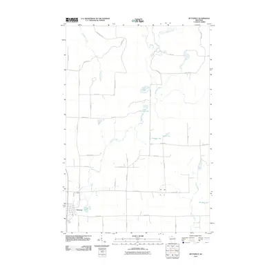 2010 Map of Butternut, 2010 Print