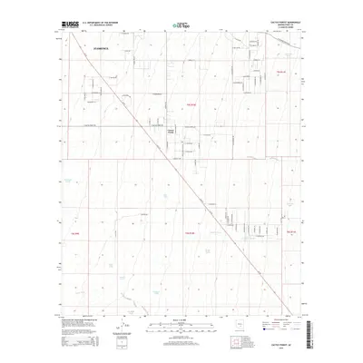 2014 Map of Cactus Forest, 2014 Print
