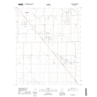 2018 Map of Cactus Forest, 2018 Print
