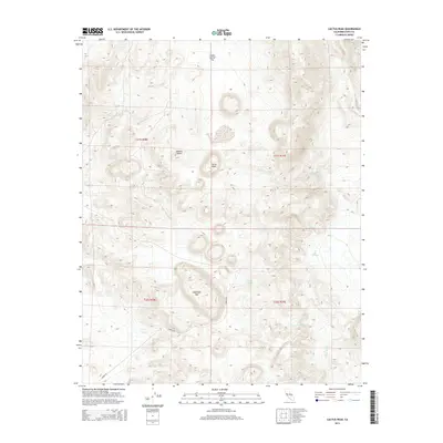 2015 Map of Cactus Peak, 2015 Print