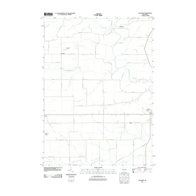 2010 Map of Calamine, 2010 Print