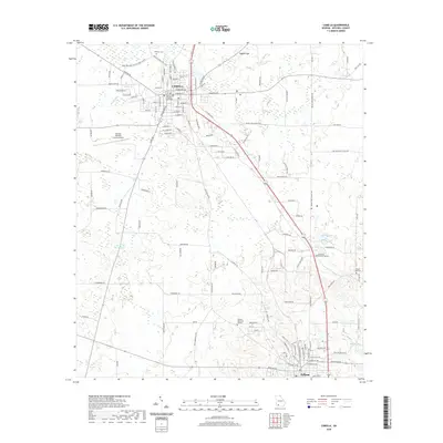 2020 Map of Camilla, 2020 Print