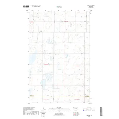 2017 Map of Camp Lake, 2017 Print