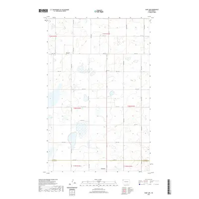 2020 Map of Camp Lake, 2020 Print