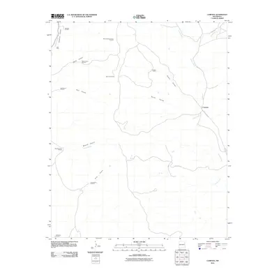 2010 Map of Campana, 2010 Print