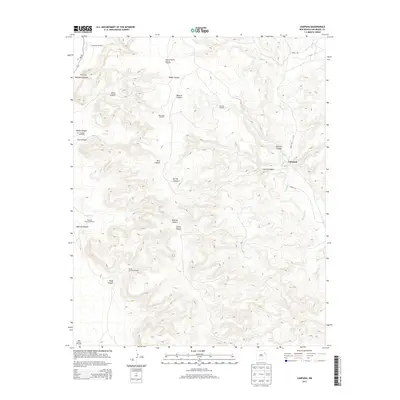 2013 Map of Campana, 2013 Print