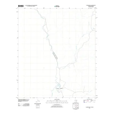2010 Map of Candelaria, 2010 Print