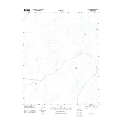 2011 Map of Cane Springs, 2011 Print