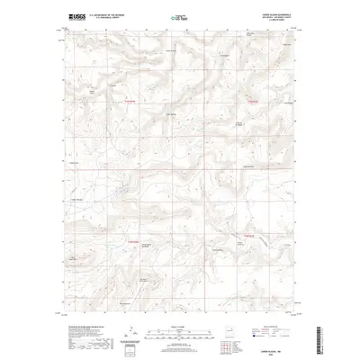 2020 Map of Canon Olguin, 2020 Print