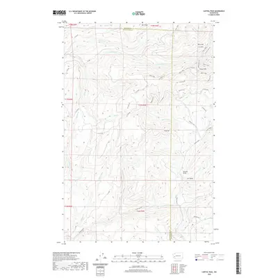 2020 Map of Capitol Peak, 2020 Print