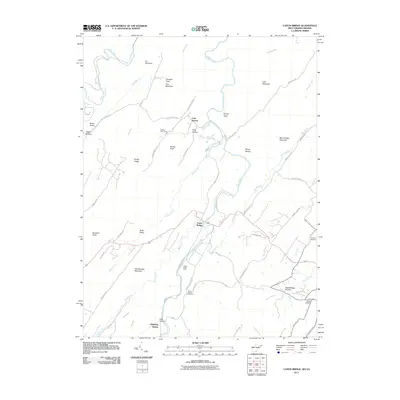 2011 Map of Capon Bridge, 2011 Print