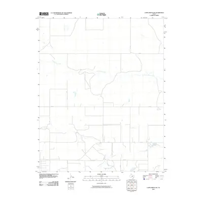 2010 Map of Capps Switch SE, 2010 Print