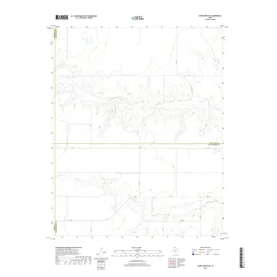 2019 Map of Capps Switch SE, 2019 Print