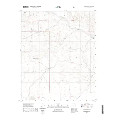2020 Map of Carbon Springs, 2020 Print