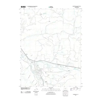 2010 Map of Carbondale, 2010 Print