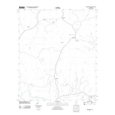2011 Map of Carlowville, 2011 Print