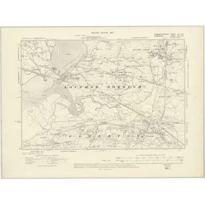 1905 Map of Carmarthenshire LIX.SW, 1907 Print
