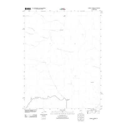 2011 Map of Carroll Summit, 2011 Print