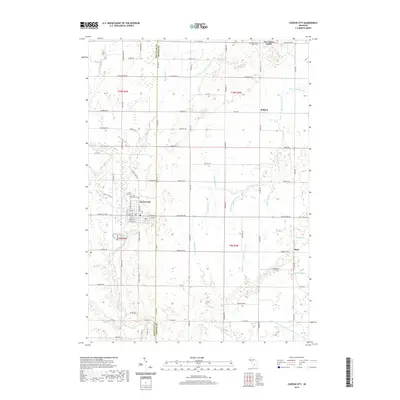 2019 Map of Carson City, 2019 Print