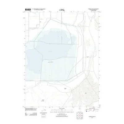 2011 Map of Carson Lake, 2011 Print