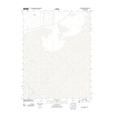 2011 Map of Carson Sink SW, 2011 Print