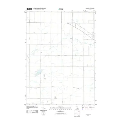 2011 Map of Casnovia, 2011 Print