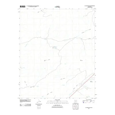 2010 Map of Cat Mountain, 2010 Print