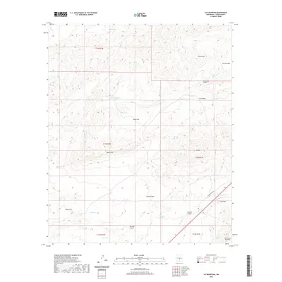 2020 Map of Cat Mountain, 2020 Print