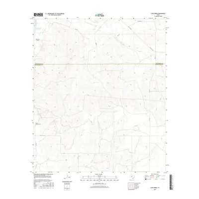 2016 Map of Cave Spring, 2016 Print