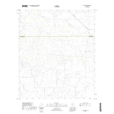 2019 Map of Cave Spring, 2019 Print