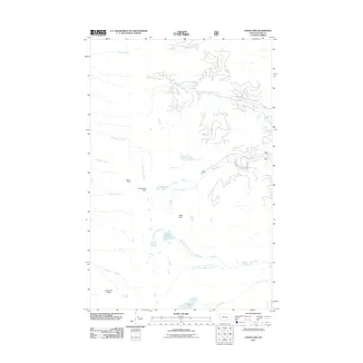 2011 Map of Cedar Lake, 2011 Print