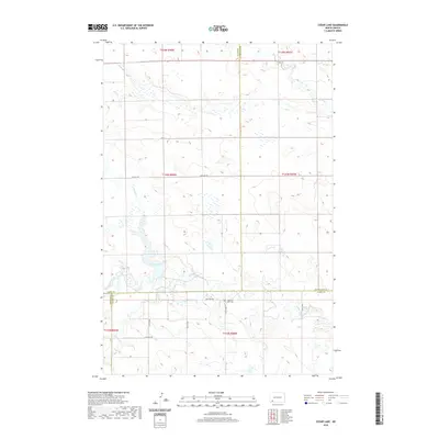 2020 Map of Cedar Lake, 2020 Print