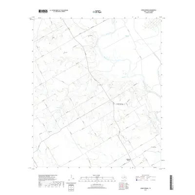 2019 Map of Cedar Springs, 2019 Print