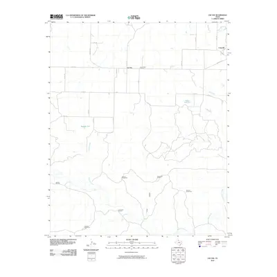 2010 Map of Cee Vee, 2010 Print