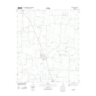 2013 Map of Celeste, 2013 Print