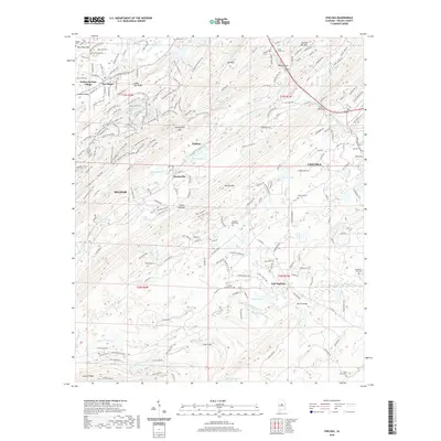 2020 Map of Chelsea, 2020 Print
