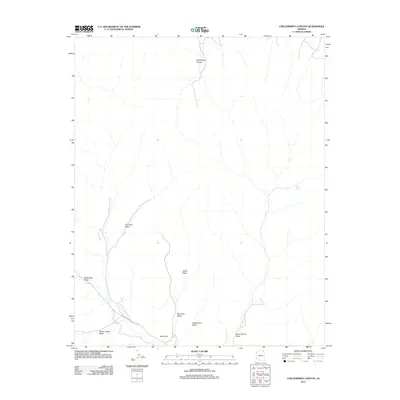 2011 Map of Chilchinbito Canyon, 2011 Print