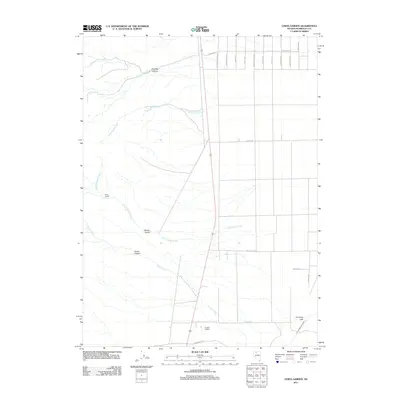 2011 Map of China Garden, 2011 Print