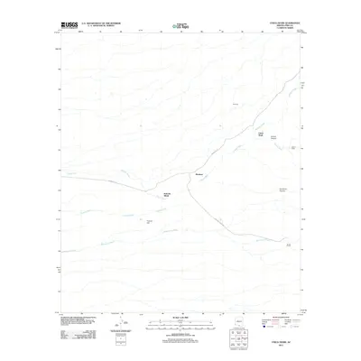 2011 Map of Chiuli Shaik, 2011 Print
