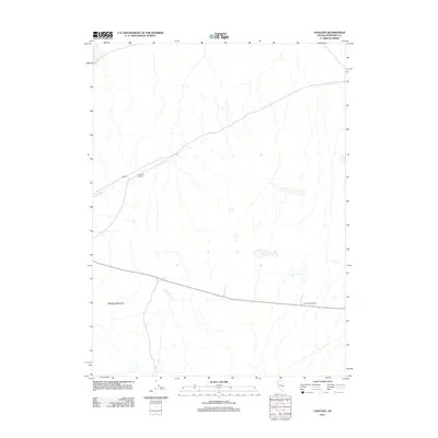 2011 Map of Cholona, 2011 Print