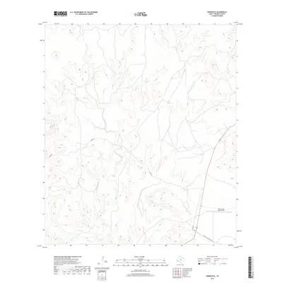 2019 Map of Cieneguita, 2019 Print