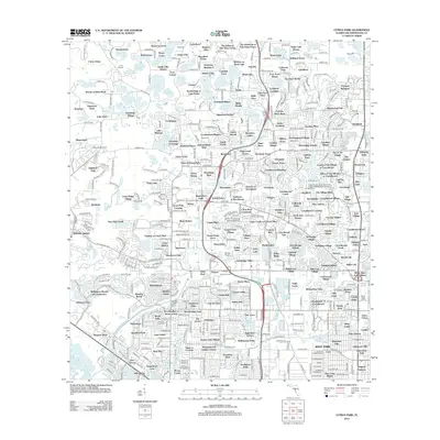 2012 Map of Citrus Park, 2012 Print