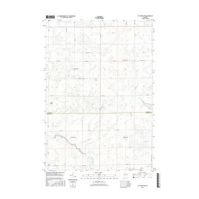 2015 Map of City Point NW, 2015 Print