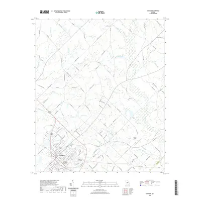 2020 Map of Cochran, 2020 Print
